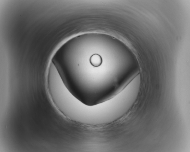 X0000094211536200711091228