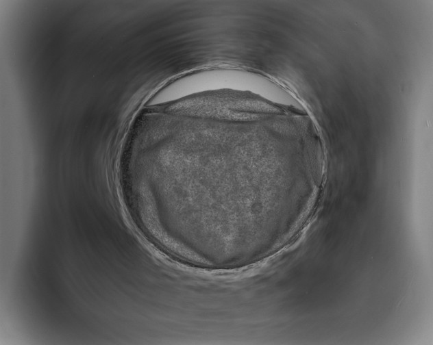 X0000094210001200711161838