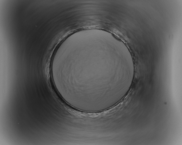 X0000094210002200711161838