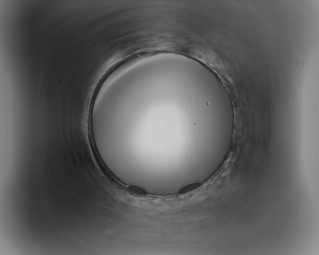 X0000094210003200711161838