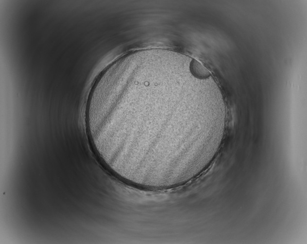 X0000094210004200711161838