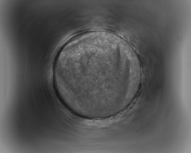 X0000094210005200711161838