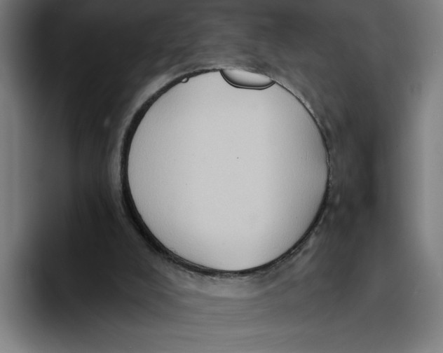 X0000094210008200711161838