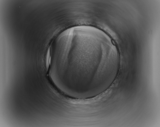 X0000094210009200711161838