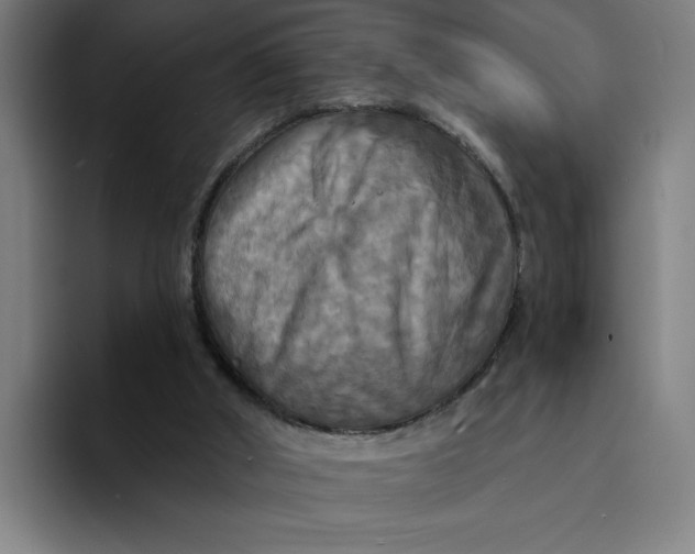 X0000094210010200711161838