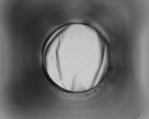 X0000094210011200711161838