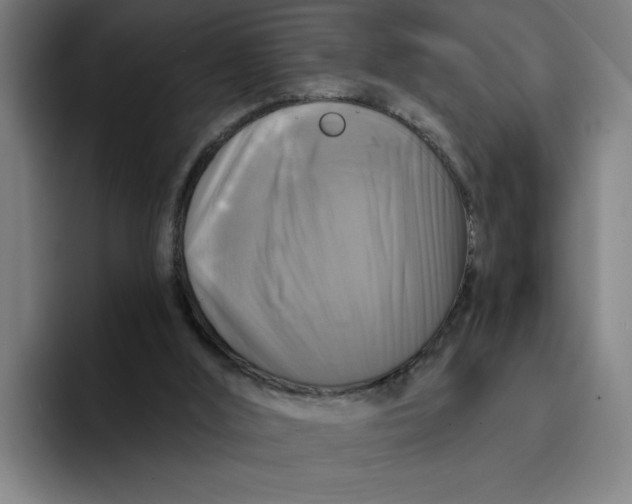 X0000094210012200711161838