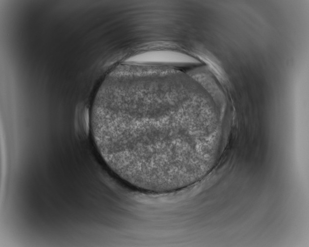 X0000094210013200711161838