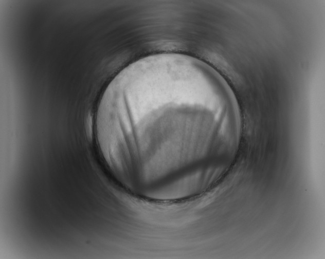 X0000094210014200711161838