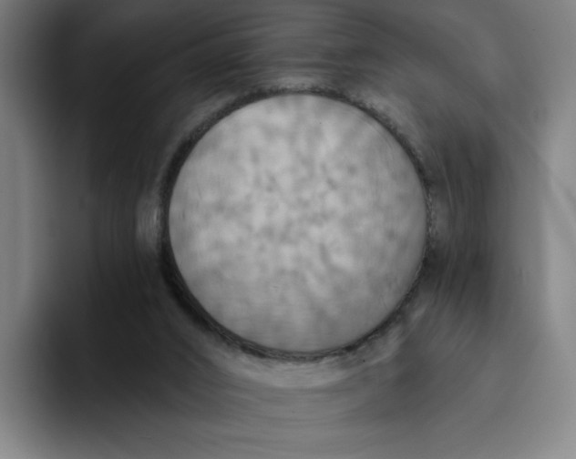 X0000094210016200711161838