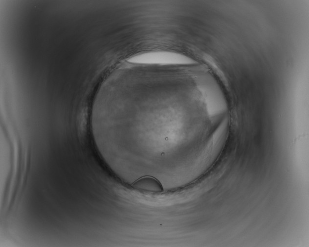 X0000094210018200711161838
