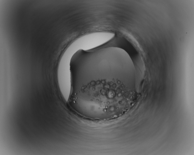 X0000094210019200711161838