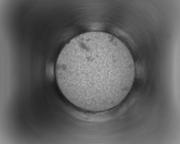 X0000094210028200711161838
