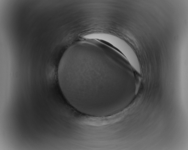 X0000094210029200711161838
