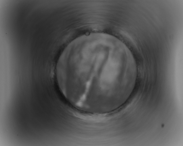 X0000094210032200711161838