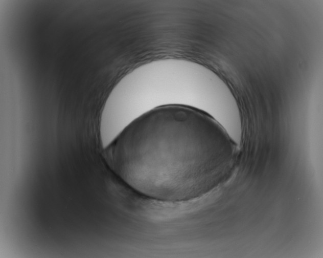X0000094210037200711161837