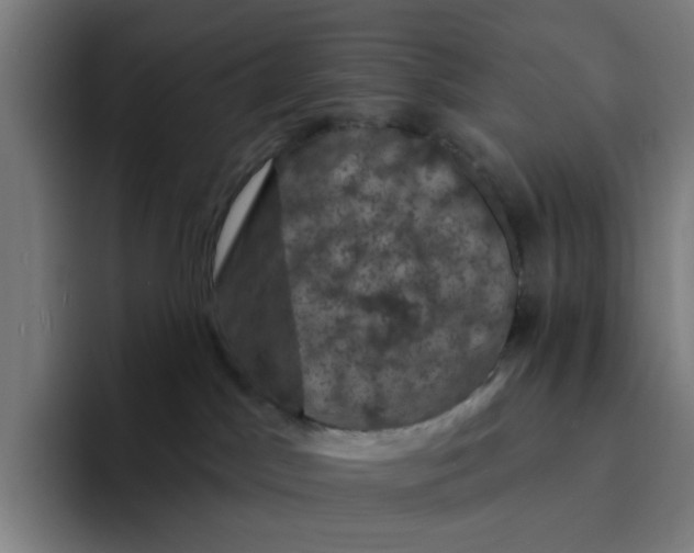 X0000094210045200711161837