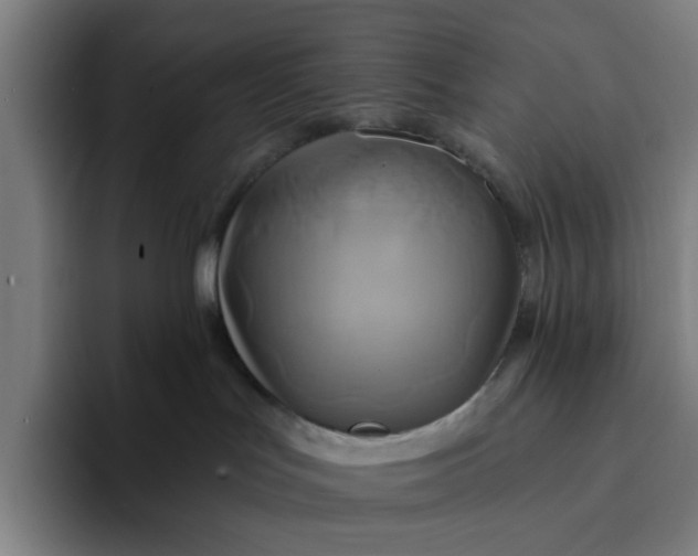 X0000094210047200711161837
