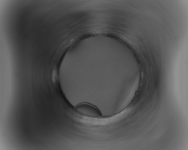 X0000094210048200711161837