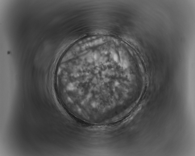X0000094210049200711161837