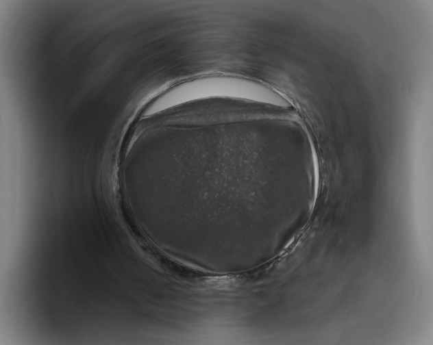X0000094210050200711161837
