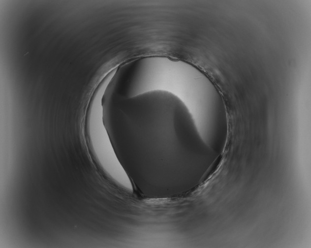X0000094210051200711161837