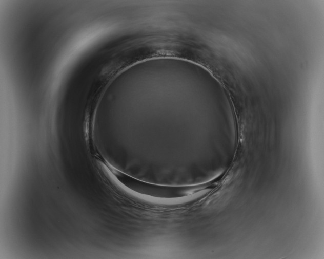 X0000094210052200711161837
