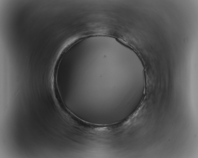 X0000094210054200711161837