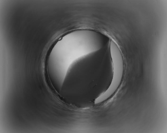 X0000094210055200711161837