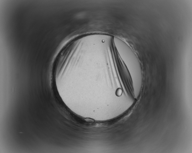 X0000094210056200711161837