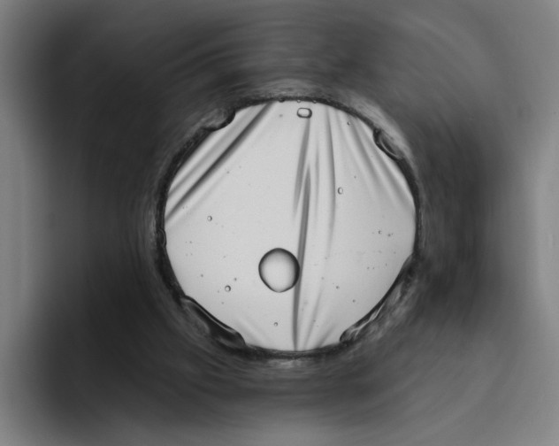 X0000094210057200711161837