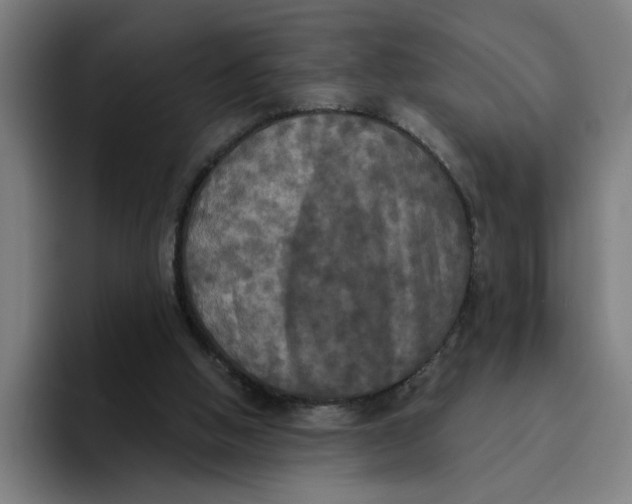 X0000094210058200711161837