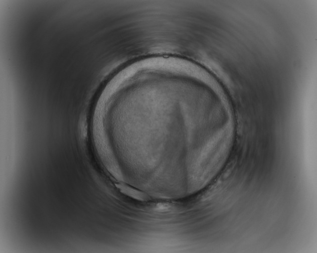 X0000094210060200711161837