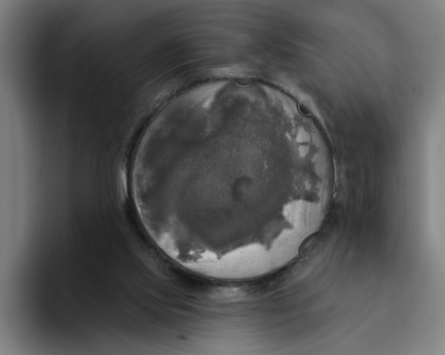 X0000094210061200711161837