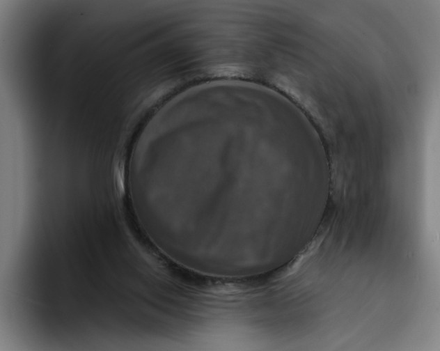X0000094210062200711161837