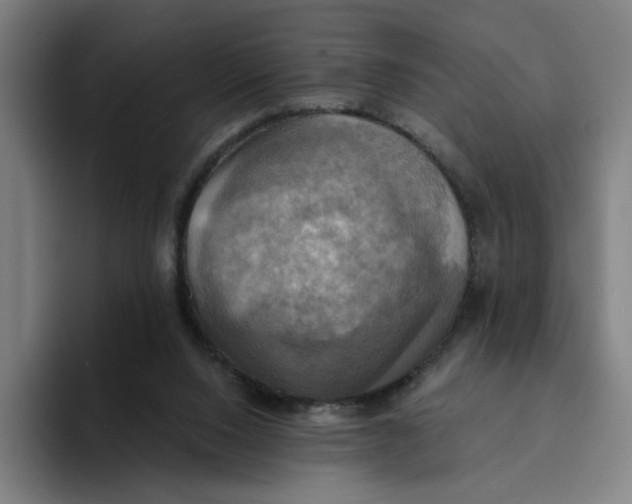 X0000094210064200711161837