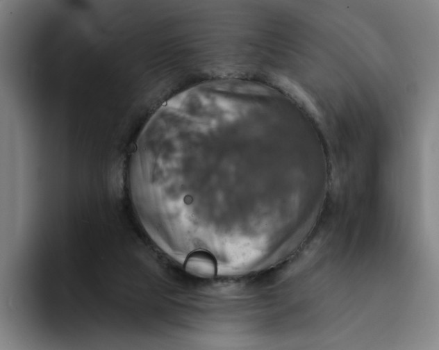 X0000094210065200711161837