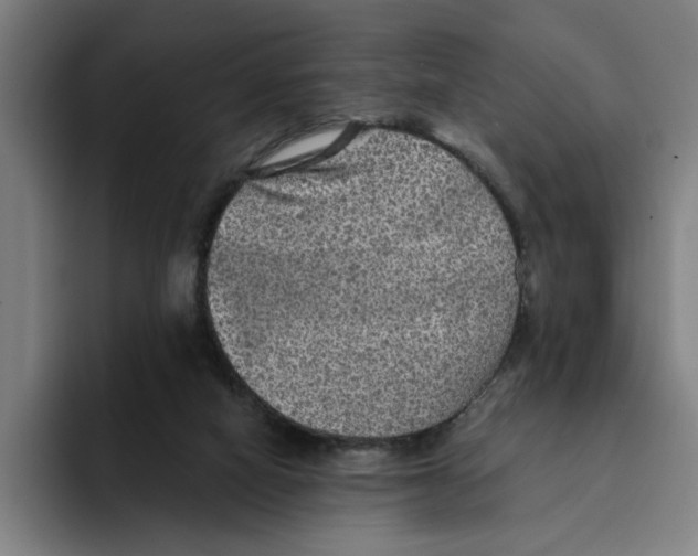 X0000094210066200711161837