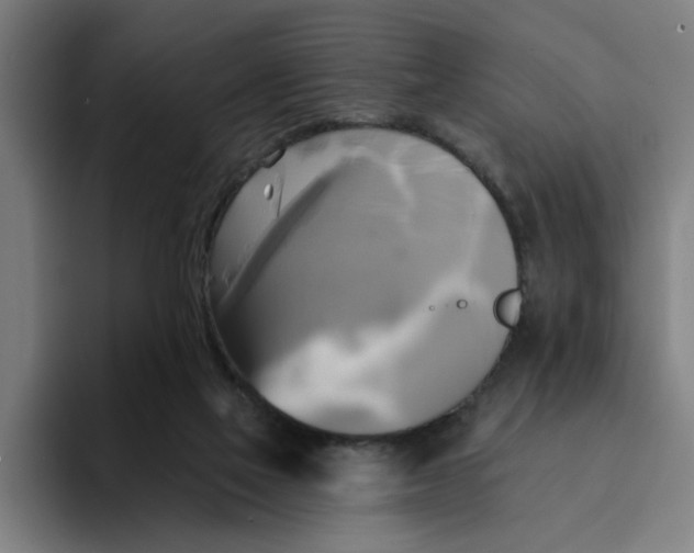 X0000094210069200711161837
