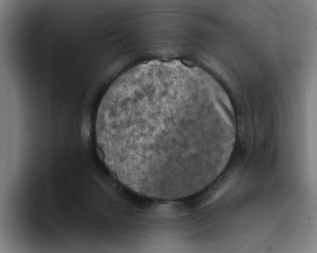 X0000094210072200711161837