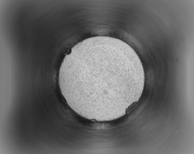 X0000094210073200711161837