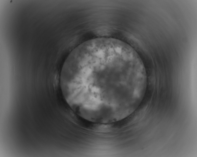 X0000094210081200711161837