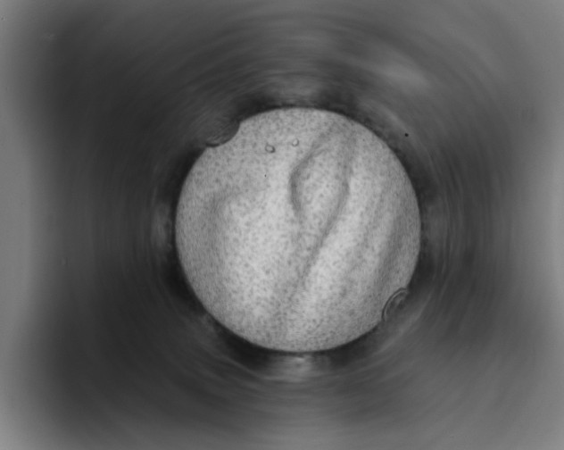 X0000094210083200711161837