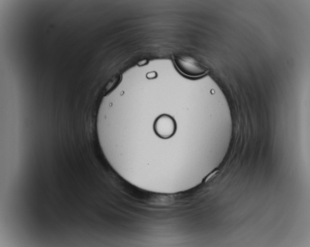 X0000094210084200711161837