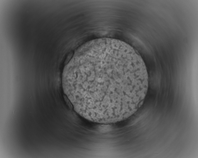 X0000094210085200711161837