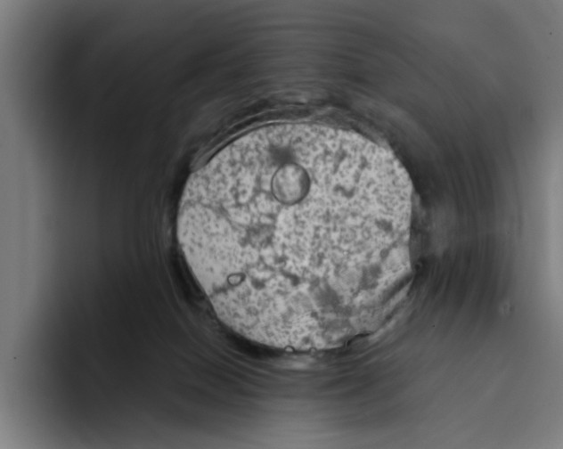 X0000094210086200711161837