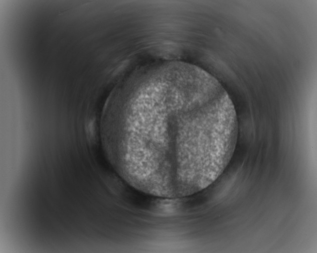 X0000094210088200711161837