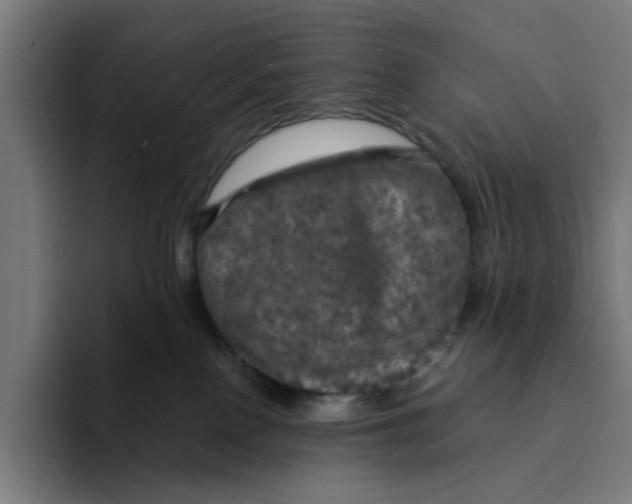 X0000094210090200711161837