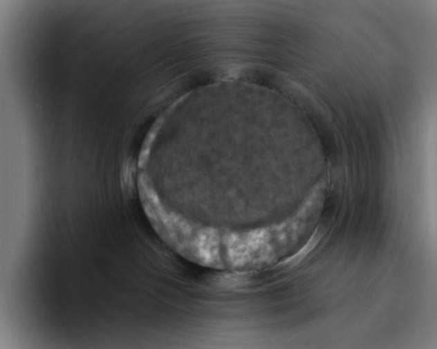 X0000094210094200711161837