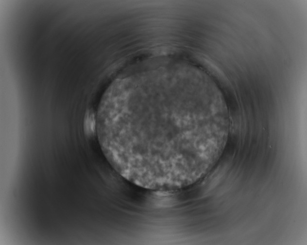 X0000094210095200711161837